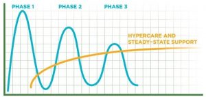 Hypercare and Steady State Activities